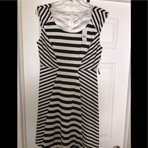 💕NY & Company Dress, Brand New, Size S